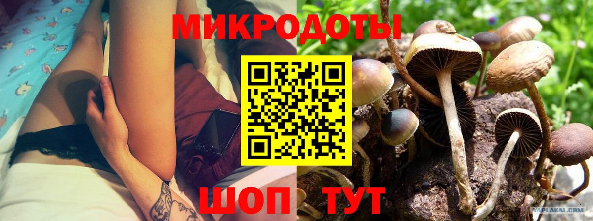 Галлюциногенные грибы Cubensis Жуковский