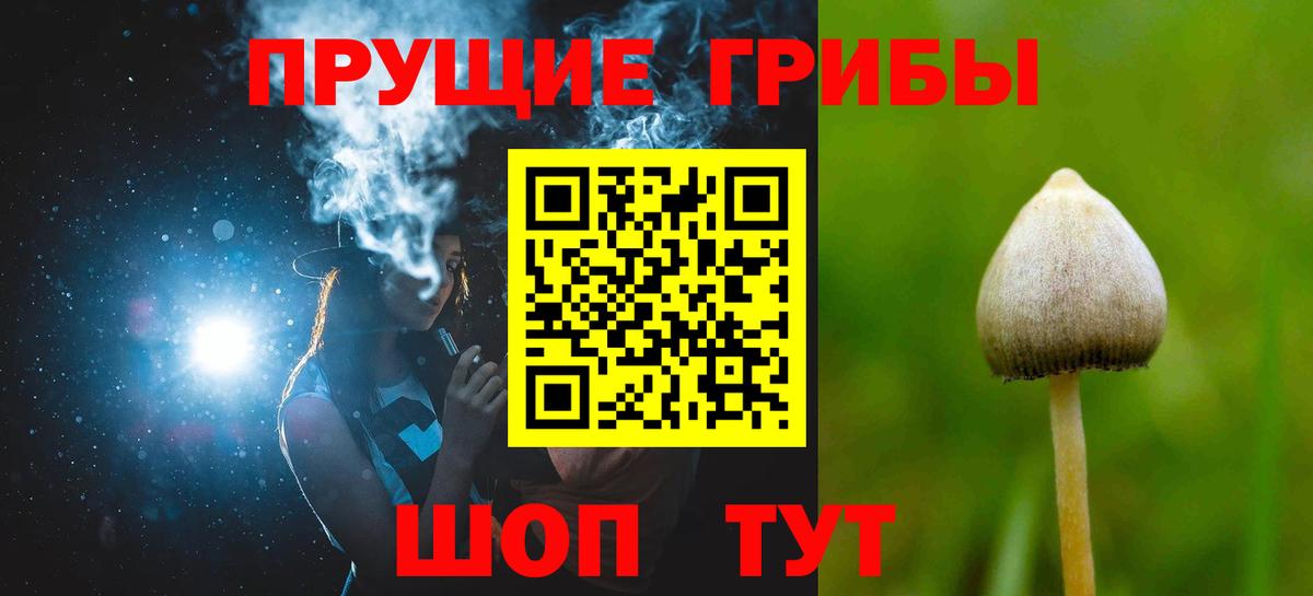 Псилоцибиновые грибы Cubensis  Вход с VPN  закладки  Жуковский  Псилоцибиновые грибы Magic Shrooms 